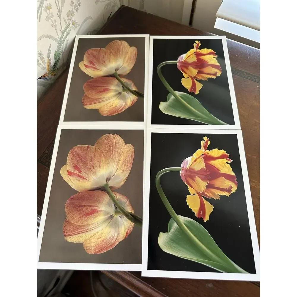 Lauritzen Gardens Note Cards Set Of 8 By Amy Lamb